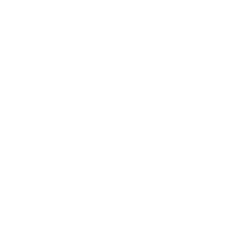 carrefour partenaire gojob